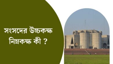 সংসদের উচ্চকক্ষ নিম্নকক্ষ কী