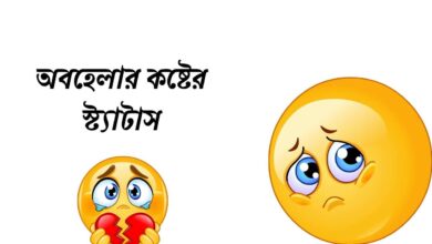 অবহেলার কষ্টের স্ট্যাটাস