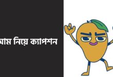 আম নিয়ে ক্যাপশন