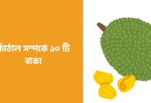 কাঁঠাল সম্পর্কে ১০ টি বাক্য