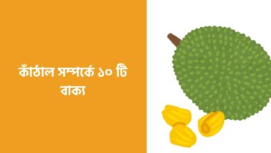 কাঁঠাল সম্পর্কে ১০ টি বাক্য