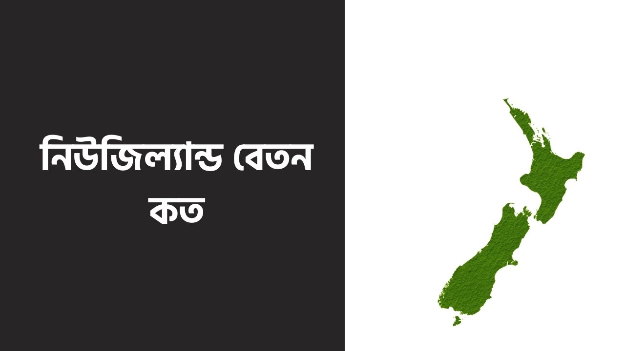 নিউজিল্যান্ড বেতন কত ২০২৬: কাজের ভিসা, চাহিদা ও সর্বশেষ তথ্য